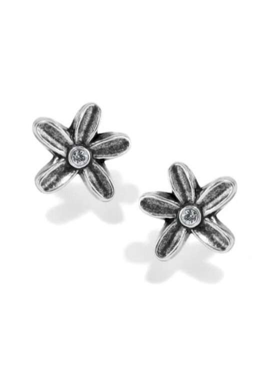 Brighton Jewelry - Brighton Wild Flower post earrings NWT $34 J22381